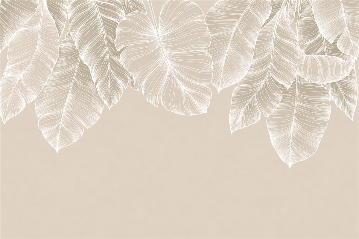 Fototapeta Białe tropikalne liście kwiatowe na jasnym tle w odcieniu beżu, prosty styl.