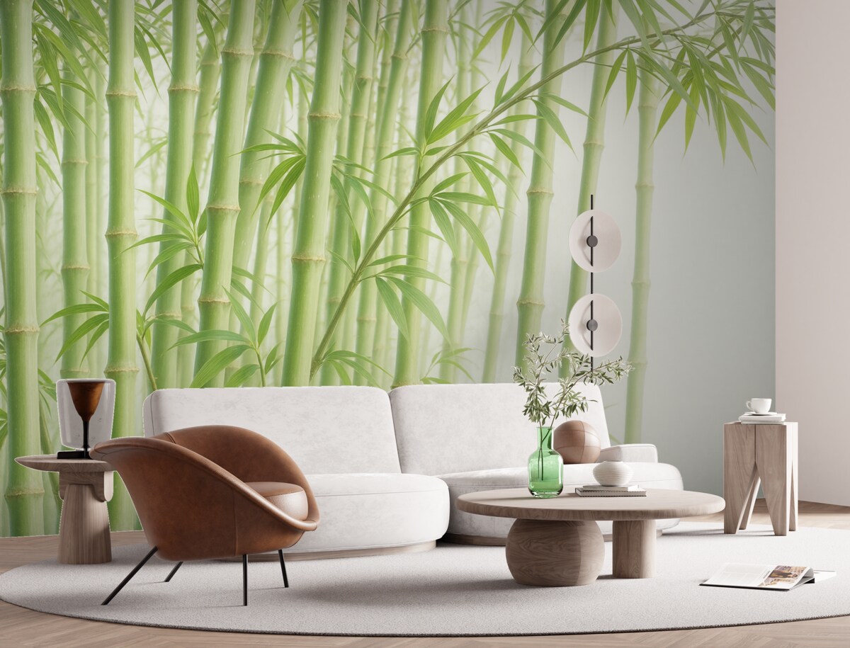 Fototapeta Gęsty las bambusowy z wysokimi pędami bambusa oraz zielonymi liśćmi na delikatnym, mglistym tle.