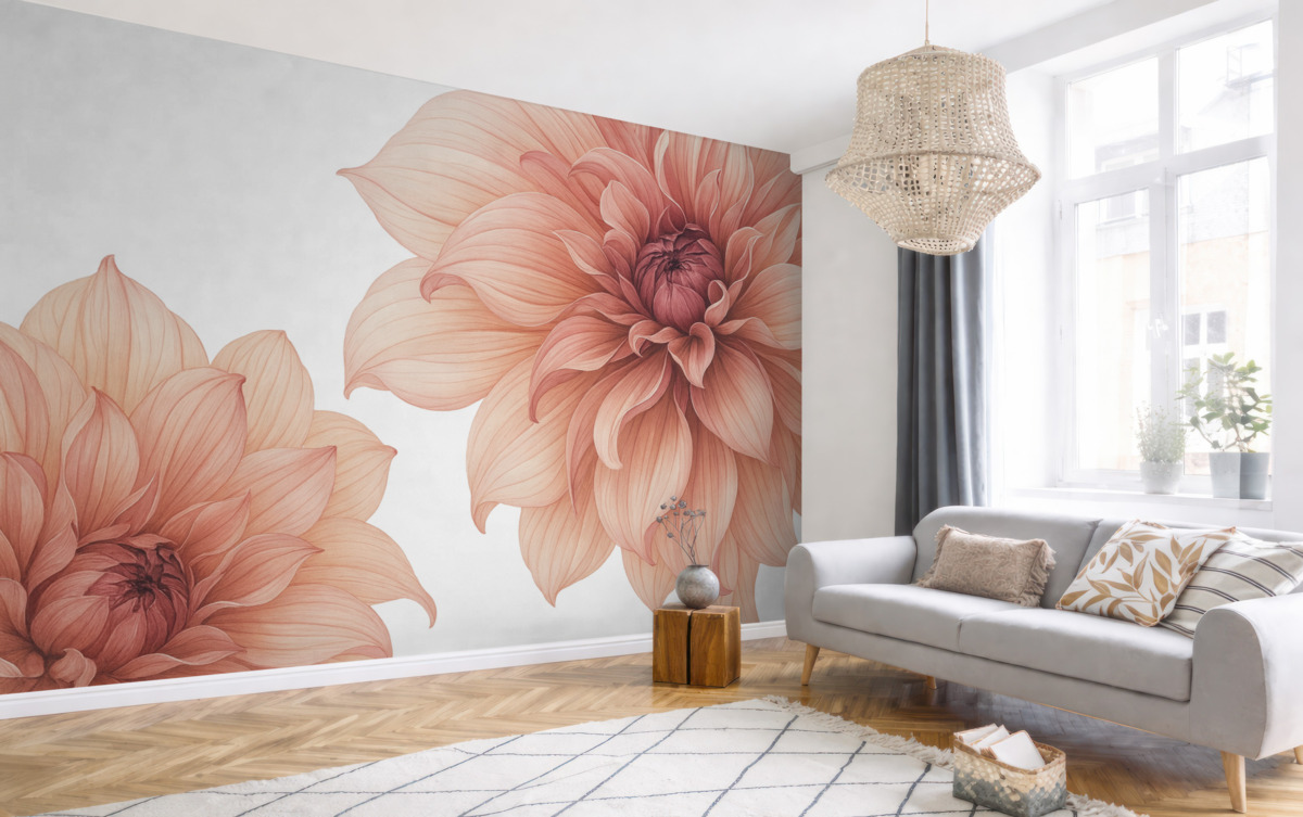 Fototapeta Zbliżenie na kilka dużych, głęboko czerwonych kwiatów dalii o gładkich, subtelnych płatkach na jasnym tle.