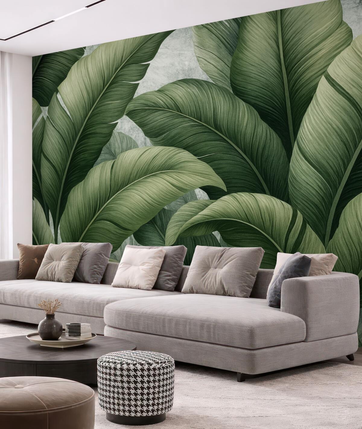 Fototapeta liście rośliny bananowej