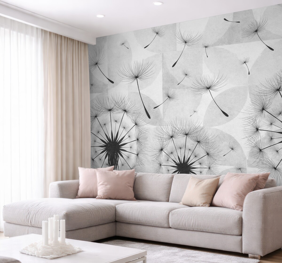 Fototapeta Kwiaty mniszka lekarskiego w kolorze czarno-białym z puszystymi główkami nasion na jasnoszarym i białym tle o fakturze.