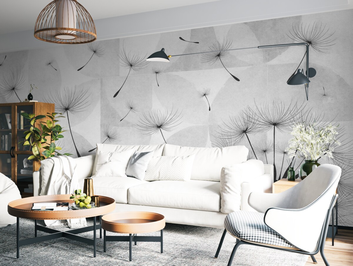 Fototapeta Kwiaty mniszka lekarskiego w kolorze czarno-białym z puszystymi główkami nasion na jasnoszarym i białym tle o fakturze.