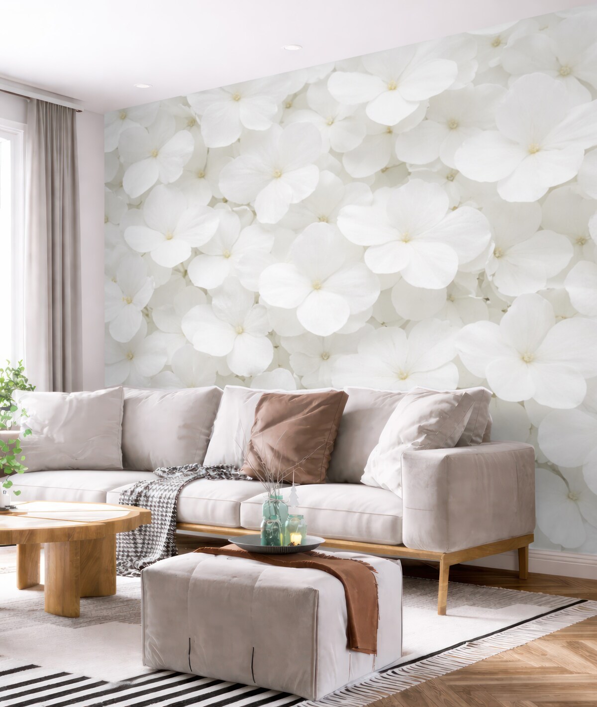 Fototapeta kwiaty w kolorze białym