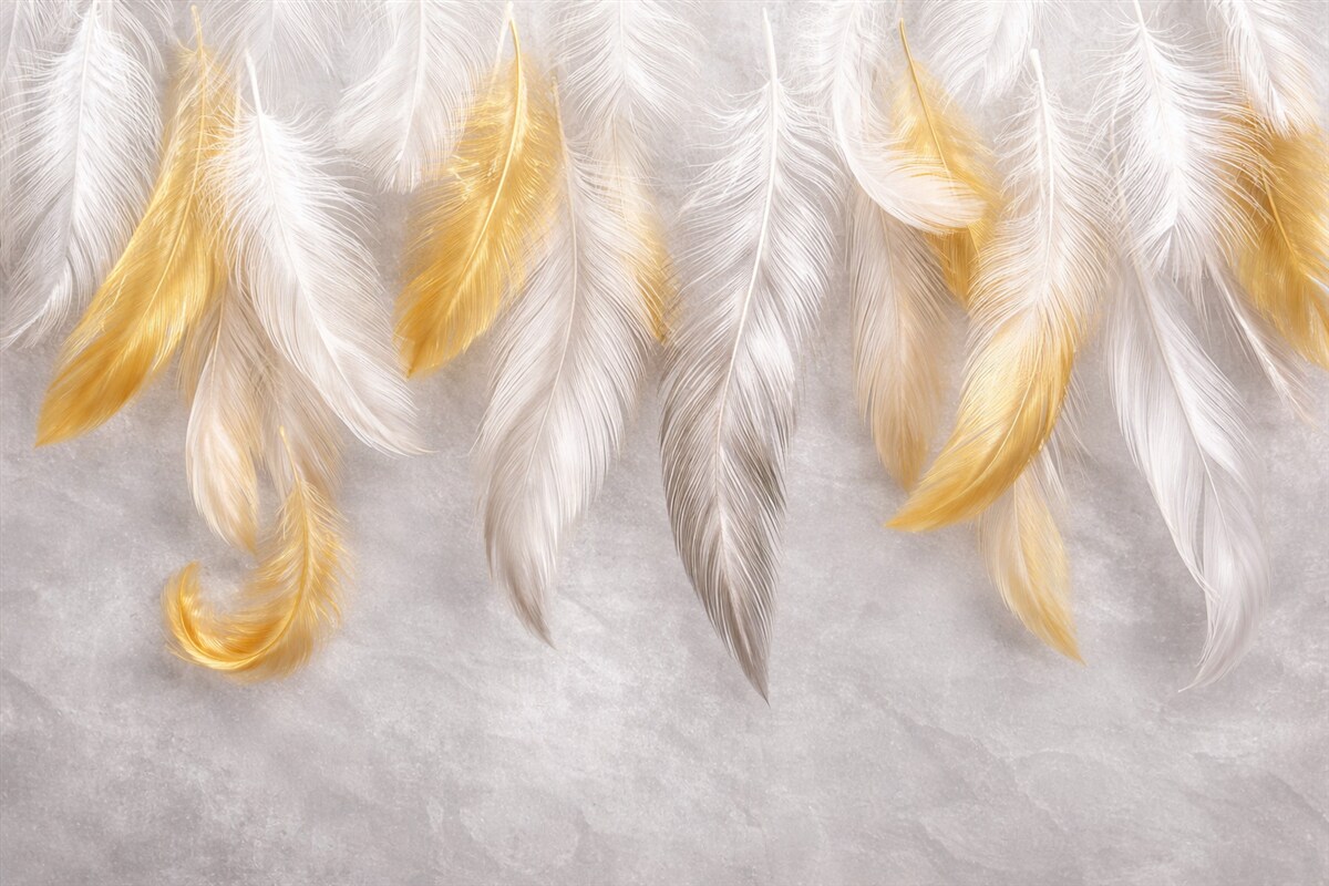 Fototapeta Białe i żółte pióra zwisające na miękkim szarym tle, tworząc subtelną i lekką kompozycję.