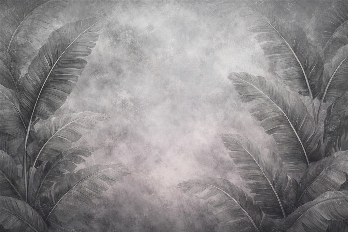 Fototapeta Ogromne liście bananowca na postarzałej ścianie.