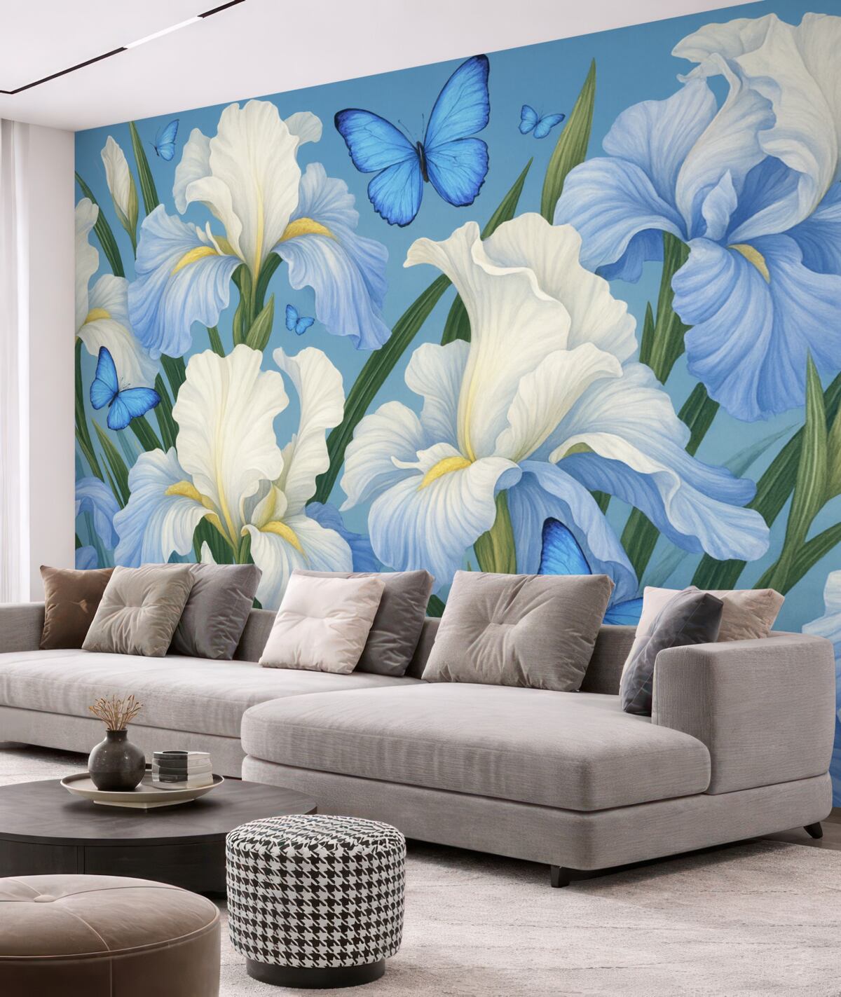 Fototapeta Białe irysy na błękitnym tle z błękitnymi motylami.