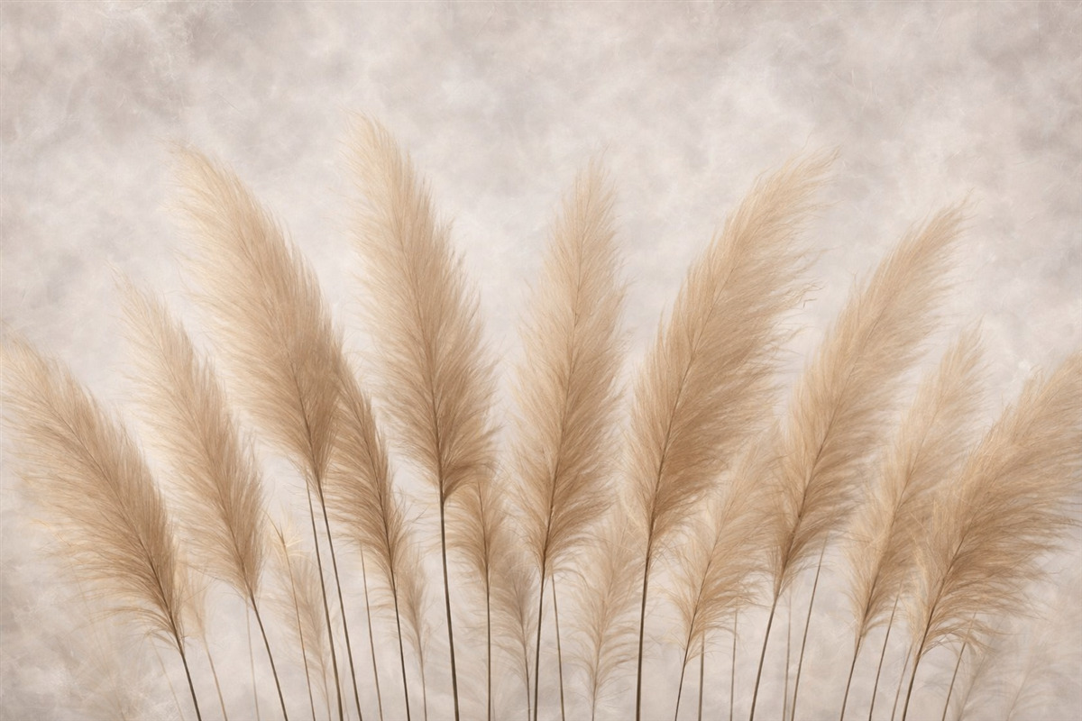 Fototapeta Wysokie rośliny na jasnym beżowym tle.